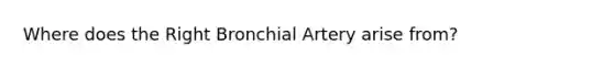 Where does the Right Bronchial Artery arise from?