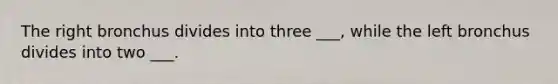 The right bronchus divides into three ___, while the left bronchus divides into two ___.