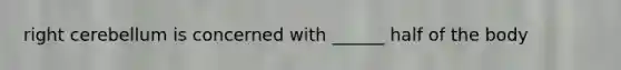 right cerebellum is concerned with ______ half of the body