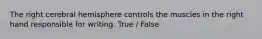 The right cerebral hemisphere controls the muscles in the right hand responsible for writing. True / False