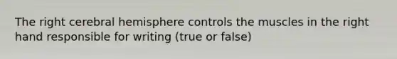 The right cerebral hemisphere controls the muscles in the right hand responsible for writing (true or false)