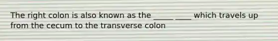 The right colon is also known as the _____ ____ which travels up from the cecum to the transverse colon