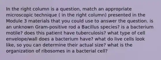 In the right column is a question, match an appropriate microscopic technique ( in the right column) presented in the Module 3 materials that you could use to answer the question. is an unknown Gram-positive rod a Bacillus species? is a bacterium motile? does this patient have tuberculosis? what type of cell envelope/wall does a bacterium have? what do live cells look like, so you can determine their actual size? what is the organization of ribosomes in a bacterial cell?