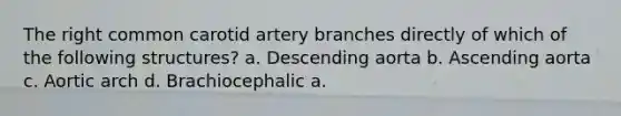 The right common carotid artery branches directly of which of the following structures? a. Descending aorta b. Ascending aorta c. Aortic arch d. Brachiocephalic a.