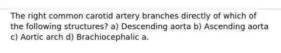 The right common carotid artery branches directly of which of the following structures? a) Descending aorta b) Ascending aorta c) Aortic arch d) Brachiocephalic a.