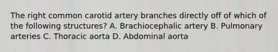 The right common carotid artery branches directly off of which of the following structures? A. Brachiocephalic artery B. Pulmonary arteries C. Thoracic aorta D. Abdominal aorta