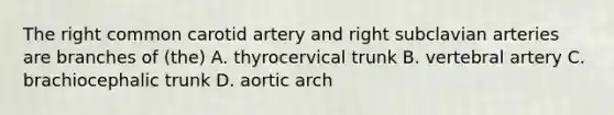 The right common carotid artery and right subclavian arteries are branches of (the) A. thyrocervical trunk B. vertebral artery C. brachiocephalic trunk D. aortic arch