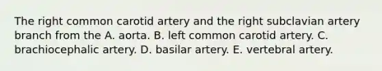 The right common carotid artery and the right subclavian artery branch from the A. aorta. B. left common carotid artery. C. brachiocephalic artery. D. basilar artery. E. vertebral artery.