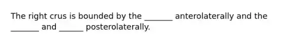 The right crus is bounded by the _______ anterolaterally and the _______ and ______ posterolaterally.