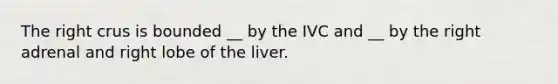 The right crus is bounded __ by the IVC and __ by the right adrenal and right lobe of the liver.