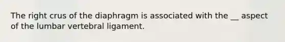 The right crus of the diaphragm is associated with the __ aspect of the lumbar vertebral ligament.