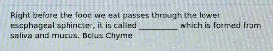 Right before the food we eat passes through the lower esophageal sphincter, it is called __________ which is formed from saliva and mucus. Bolus Chyme