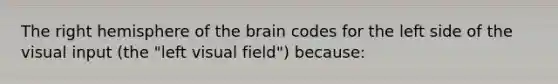 The right hemisphere of the brain codes for the left side of the visual input (the "left visual field") because: