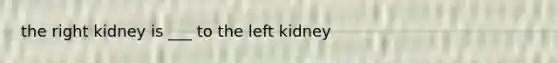 the right kidney is ___ to the left kidney