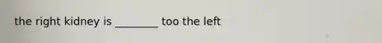 the right kidney is ________ too the left