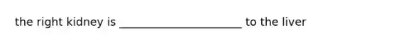 the right kidney is ______________________ to the liver