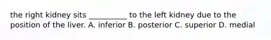 the right kidney sits __________ to the left kidney due to the position of the liver. A. inferior B. posterior C. superior D. medial