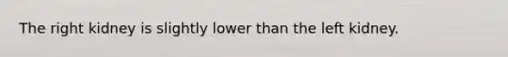 The right kidney is slightly lower than the left kidney.