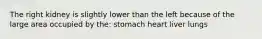 The right kidney is slightly lower than the left because of the large area occupied by the: stomach heart liver lungs