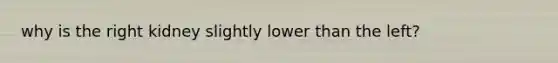 why is the right kidney slightly lower than the left?