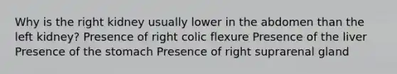 Why is the right kidney usually lower in the abdomen than the left kidney? Presence of right colic flexure Presence of the liver Presence of the stomach Presence of right suprarenal gland