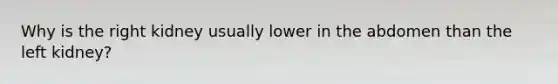 Why is the right kidney usually lower in the abdomen than the left kidney?