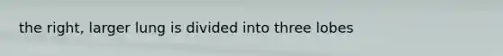 the right, larger lung is divided into three lobes