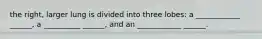 the right, larger lung is divided into three lobes: a ____________ ______, a __________ ______, and an ____________ ______.