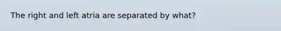 The right and left atria are separated by what?