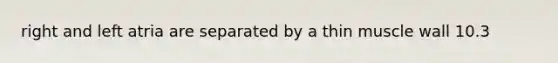 right and left atria are separated by a thin muscle wall 10.3
