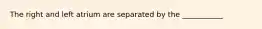 The right and left atrium are separated by the ___________