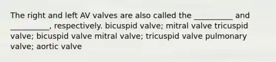 The right and left AV valves are also called the __________ and __________, respectively. bicuspid valve; mitral valve tricuspid valve; bicuspid valve mitral valve; tricuspid valve pulmonary valve; aortic valve