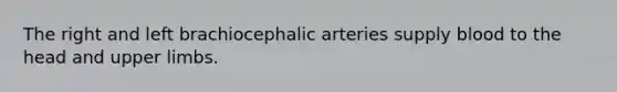 The right and left brachiocephalic arteries supply blood to the head and <a href='https://www.questionai.com/knowledge/kJyXBSF4I2-upper-limb' class='anchor-knowledge'>upper limb</a>s.