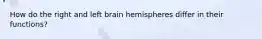 How do the right and left brain hemispheres differ in their functions?