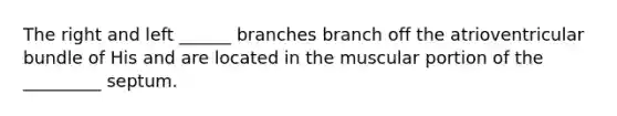 The right and left ______ branches branch off the atrioventricular bundle of His and are located in the muscular portion of the _________ septum.