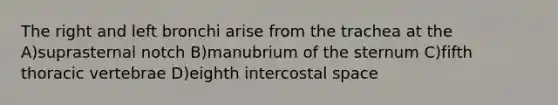 The right and left bronchi arise from the trachea at the A)suprasternal notch B)manubrium of the sternum C)fifth thoracic vertebrae D)eighth intercostal space