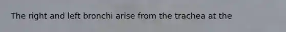 The right and left bronchi arise from the trachea at the
