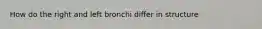 How do the right and left bronchi differ in structure