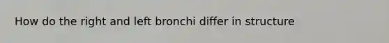 How do the right and left bronchi differ in structure