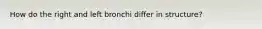 How do the right and left bronchi differ in structure?