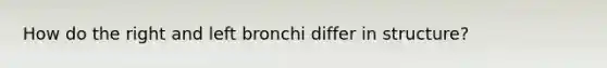 How do the right and left bronchi differ in structure?