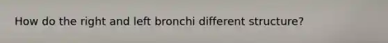 How do the right and left bronchi different structure?