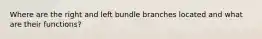 Where are the right and left bundle branches located and what are their functions?