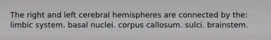 The right and left cerebral hemispheres are connected by the: limbic system. basal nuclei. corpus callosum. sulci. brainstem.