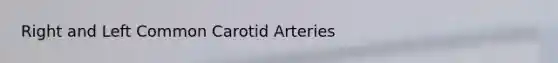 Right and Left Common Carotid Arteries