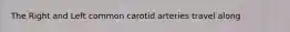 The Right and Left common carotid arteries travel along