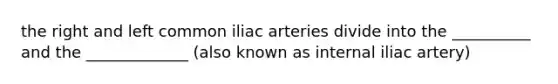 the right and left common iliac arteries divide into the __________ and the _____________ (also known as internal iliac artery)