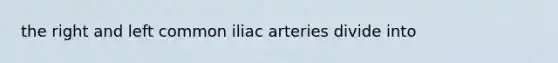 the right and left common iliac arteries divide into