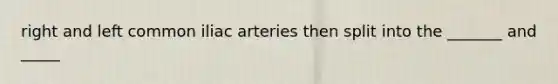 right and left common iliac arteries then split into the _______ and _____