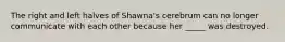 The right and left halves of Shawna's cerebrum can no longer communicate with each other because her _____ was destroyed.